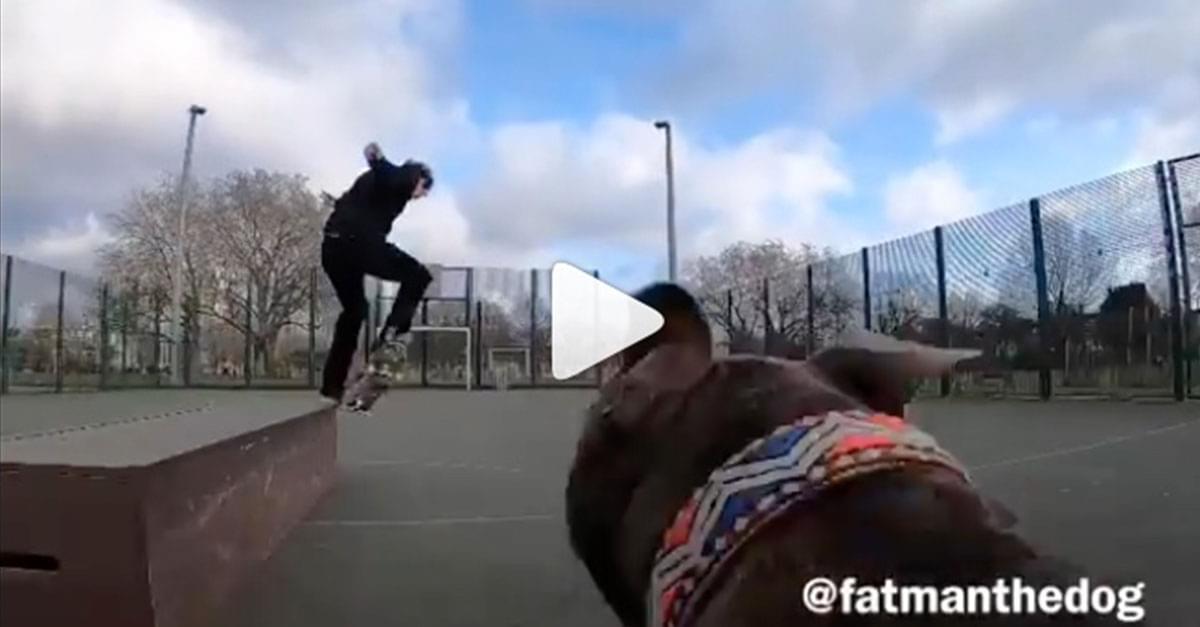 Watch: Skateboarder Films Himself by Using His Dog