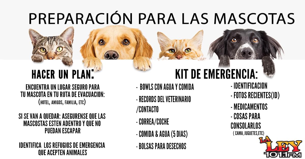 Prepara a tu Mascota para el Huracán