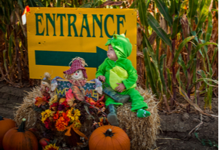 Pumpkin Patches, Corn Mazes, Scares and More!