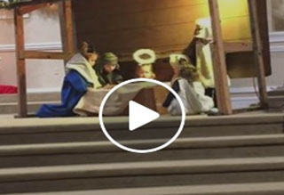 Little Sheep Goes Rogue at Nativity Scene Little Sheep Goes Rogue at Nativity Scene