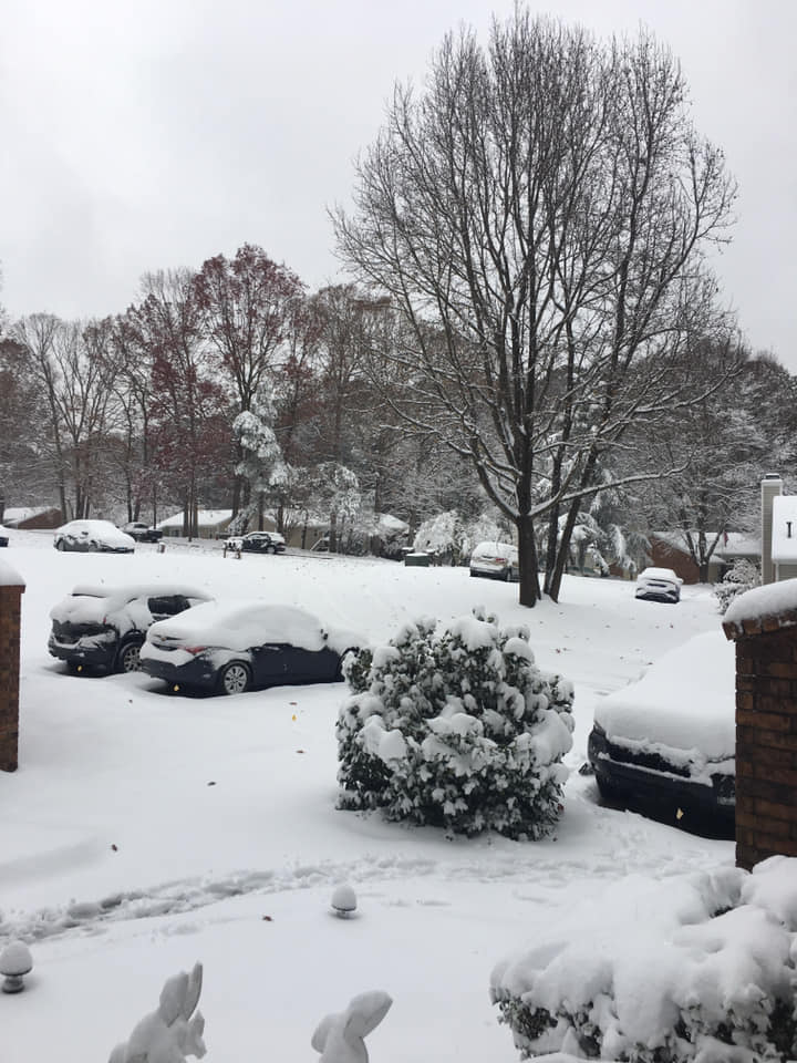 Your Snow Day Pictures - December 9, 2018