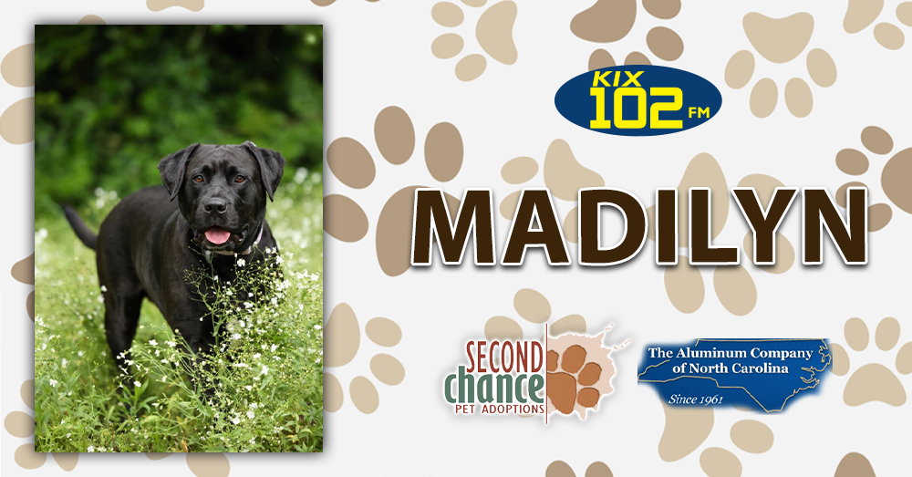 KIX Kitties and K9s: Meet Madilyn!