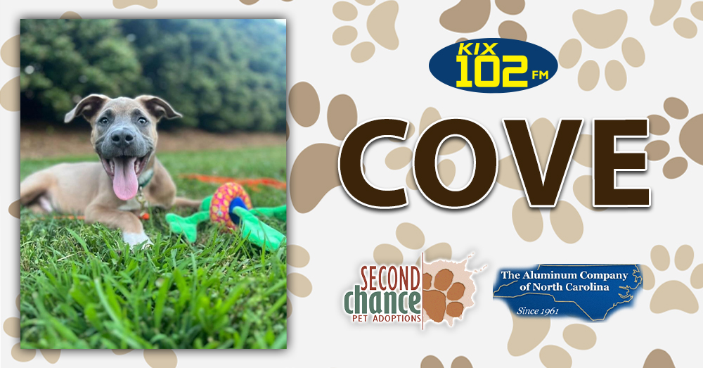 KIX Kitties and K9s: Meet Cove!