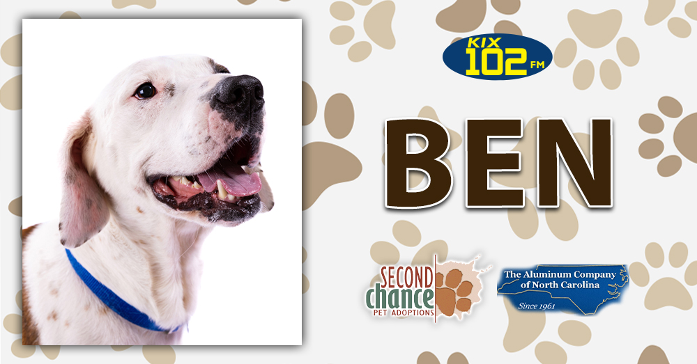 KIX Kitties and K9s: Meet Ben!