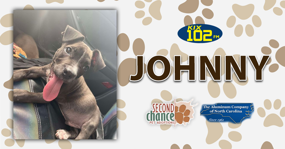 KIX Kitties and K9s: Meet Johnny!