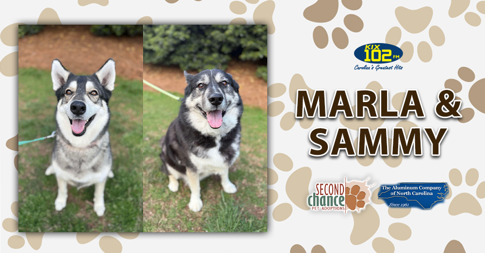 KIX Kitties and K9s: Meet Marla and Sammy!