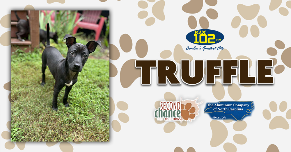 KIX Kitties and K9s: Meet Truffle!