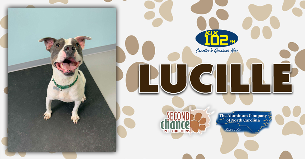 KIX Kitties and K9s: Meet Lucille!