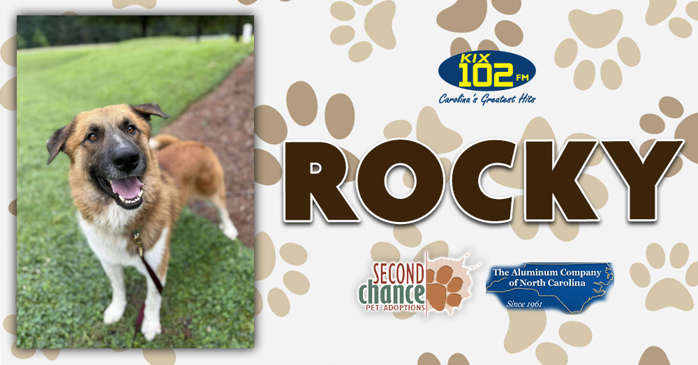 KIX Kitties and K9s: Meet Rocky!