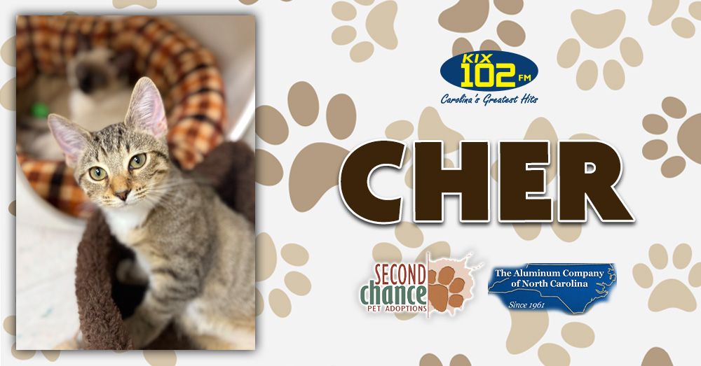 KIX Kitties and K9s: Meet Cher!