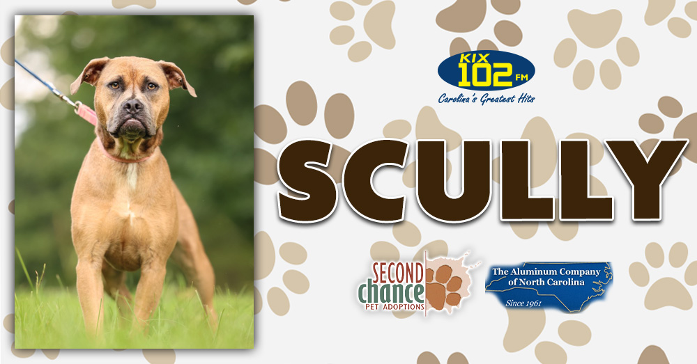 KIX Kitties and K9s: Meet Scully!