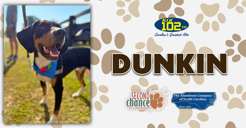 KIX Kitties and K9s: Meet Dunkin!