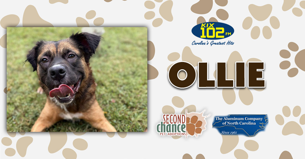 KIX Kitties and K9s: Meet Ollie!
