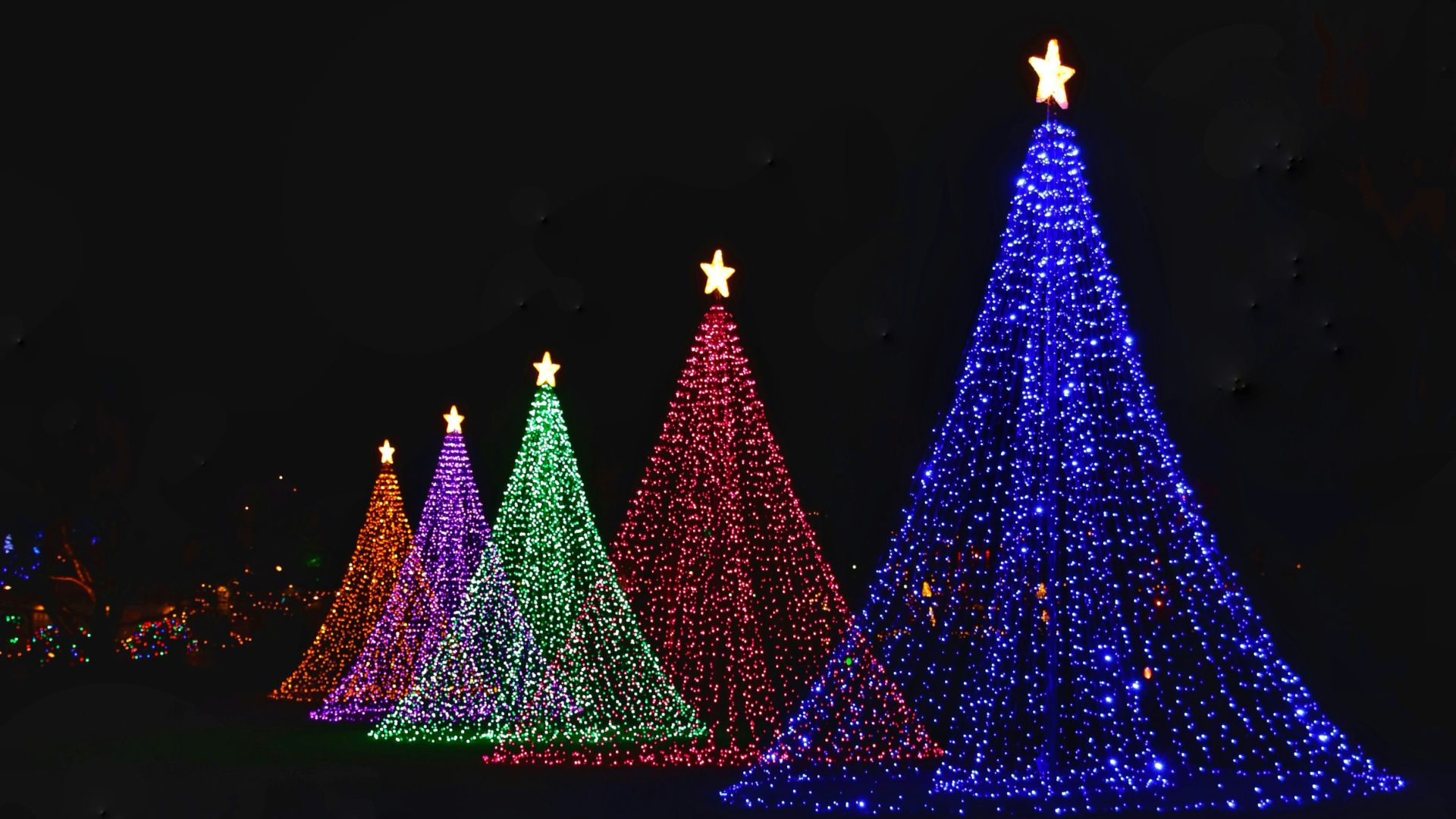 Meadow Christmas Lights