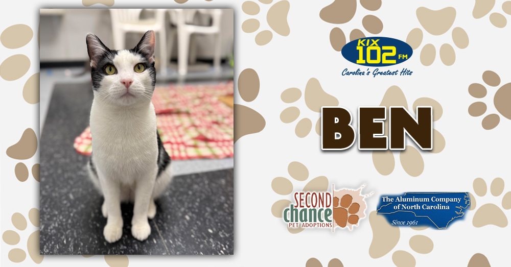 KIX Kitties and K9s: Meet Ben!