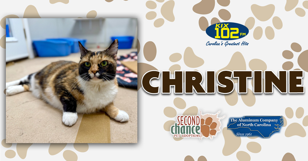 KIX Kitties and K9s: Meet Christine!