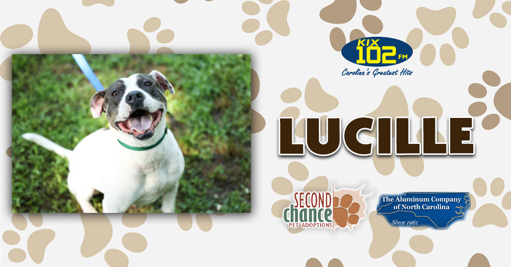 KIX Kitties and K9s: Meet Lucille!
