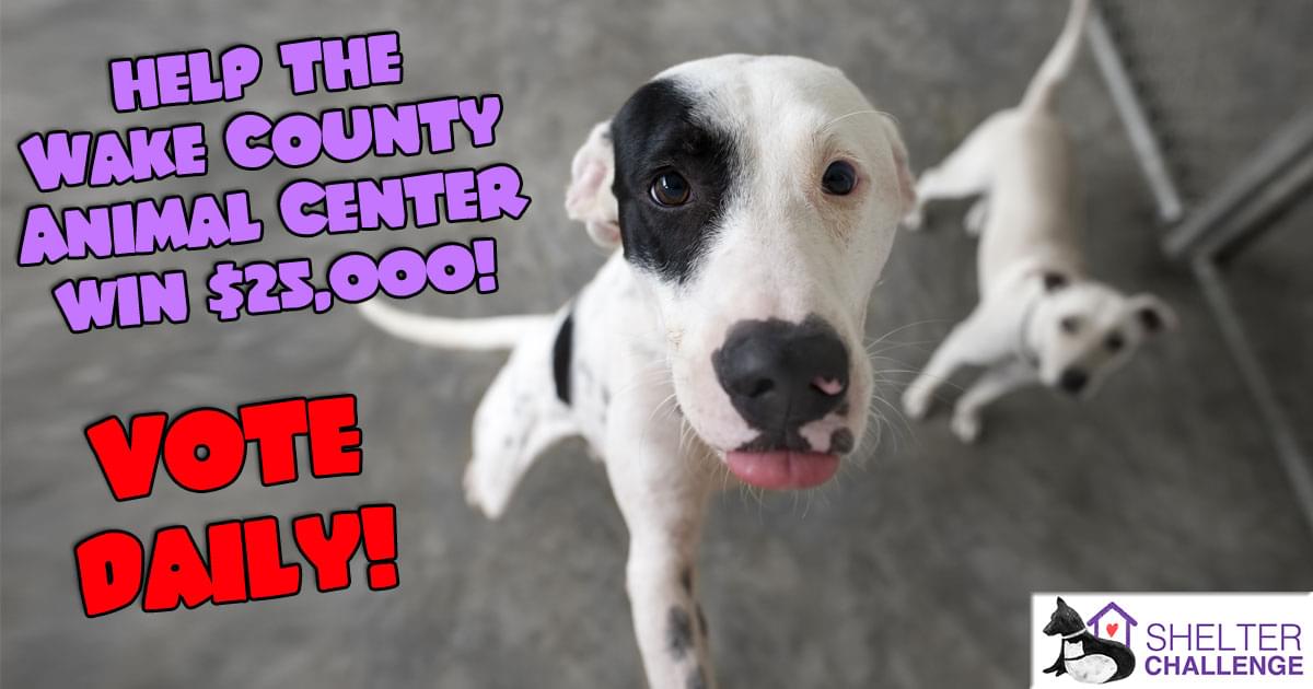 Help the Wake County Animal Center win $25,000!