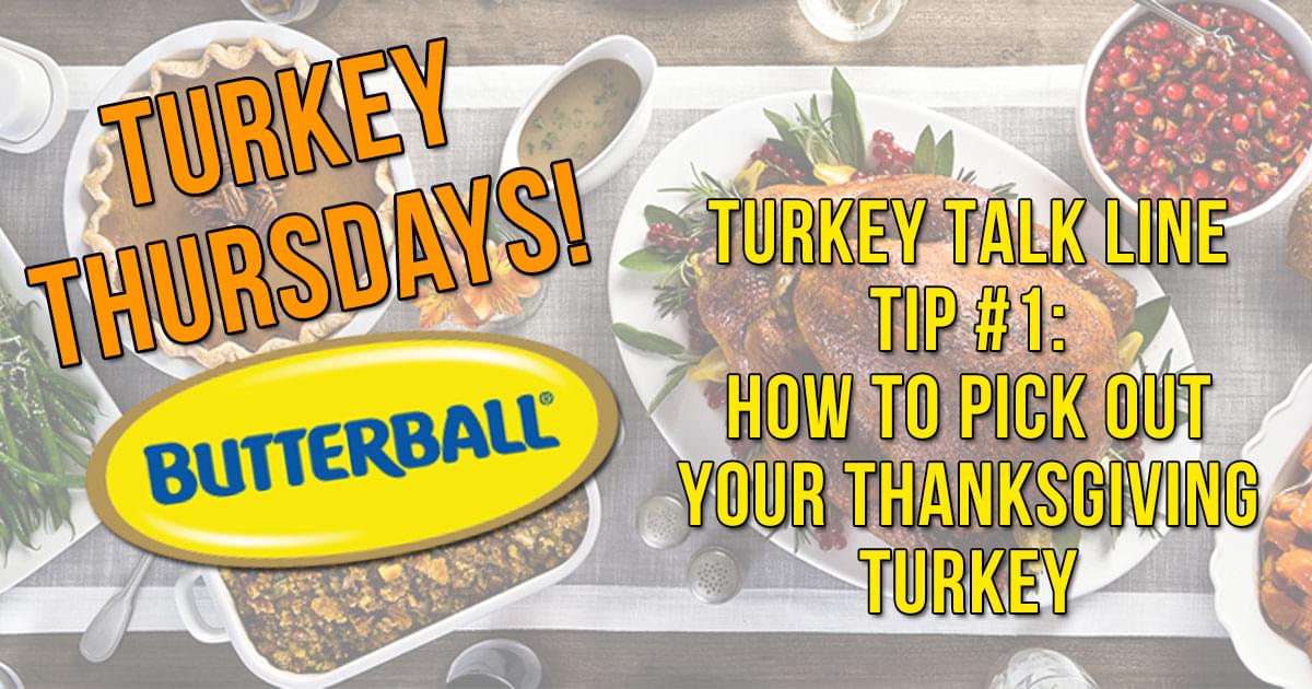 Turkey Thursday Turkey Talk: November 1st