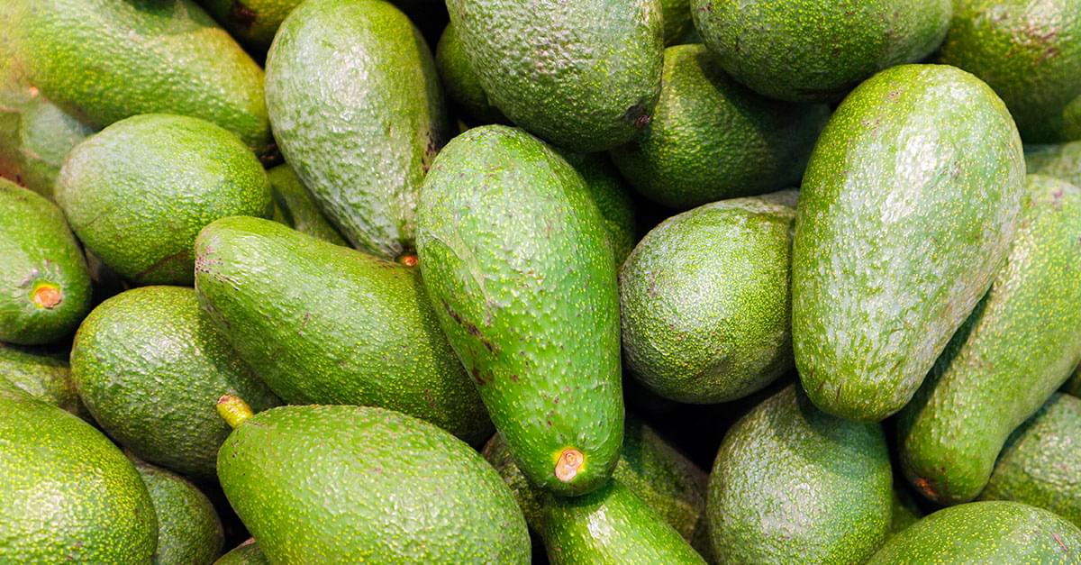 Avocados recalled over listeria concerns