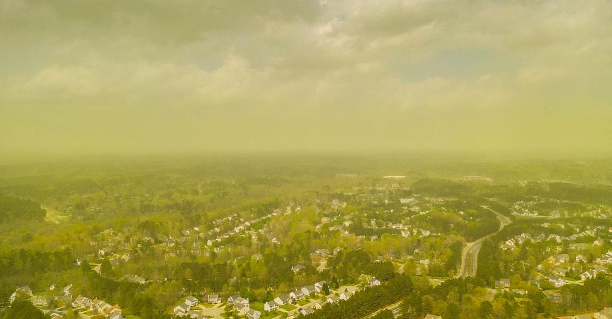 Photographer captures Severe Pollen in NC