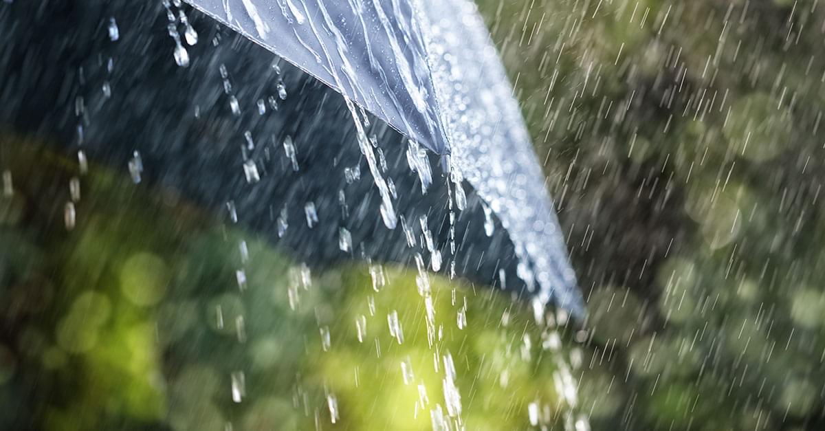 83% of Weekends in 2019 have been rainy in NC