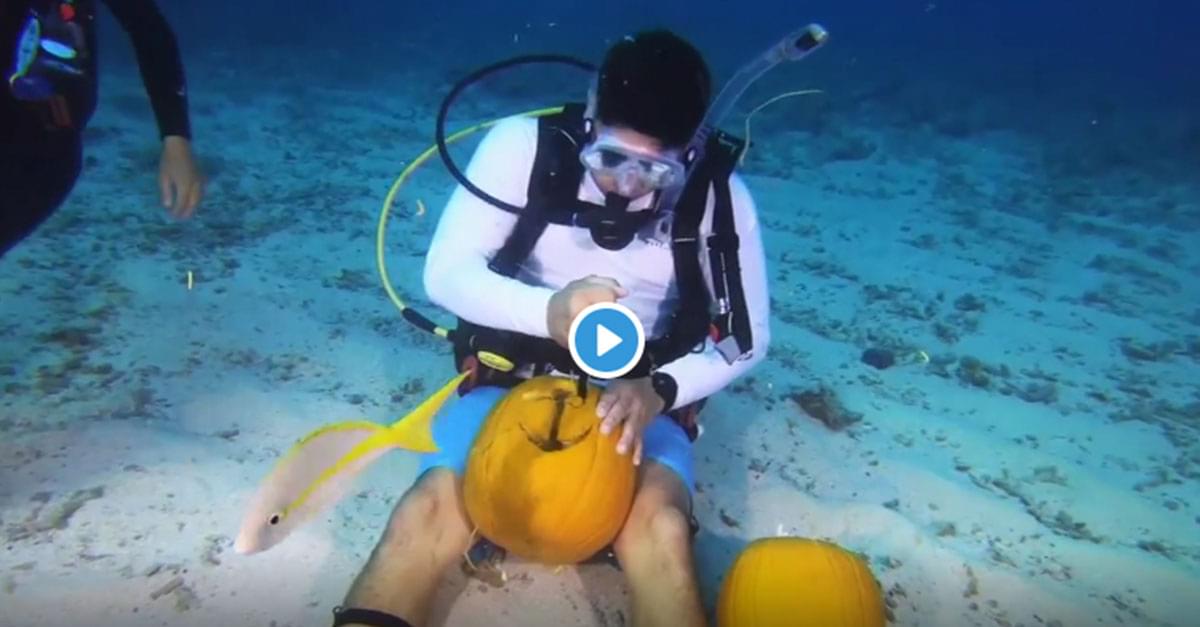 Watch: Scuba Divers Compete in Underwater Pumpkin-Carving Challenge