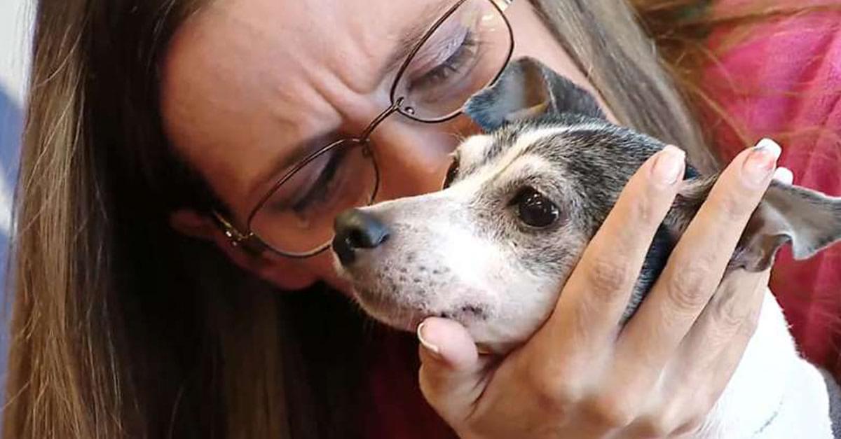 So Sweet! Dog Reunited with Owner 12 years Later