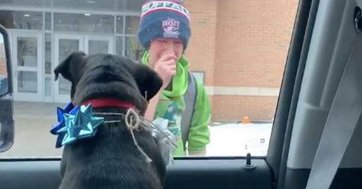 Watch: Family Surprises Boy With His Lost Dog