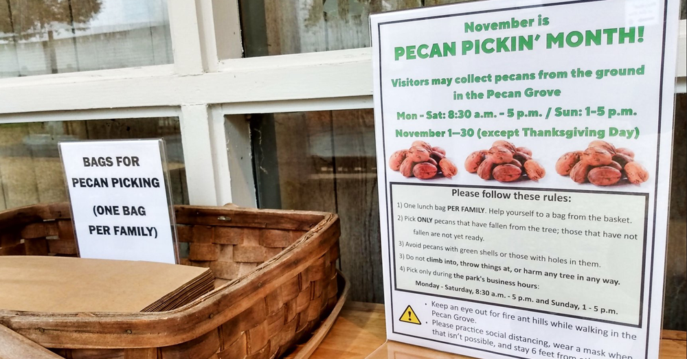 Free Pecan Pickin’ ALL November in Raleigh!