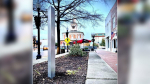 A Mini Monolith Has Appeared in Downtown Fayetteville