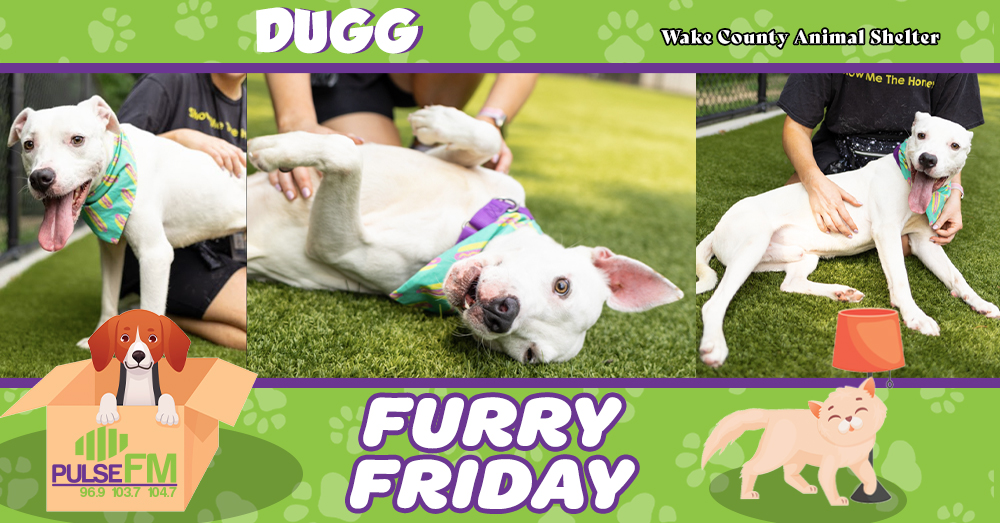 Furry Friday: Meet Dugg!
