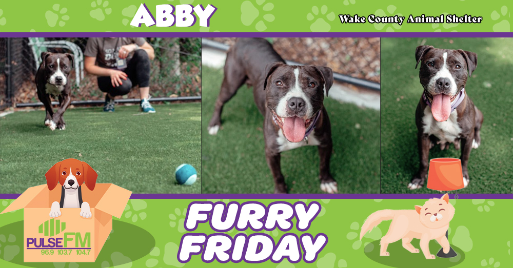 Furry Friday: Meet Abby!