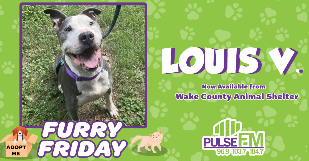 Furry Friday: Meet Louis V!