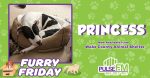 Furry Friday: Meet Princess!
