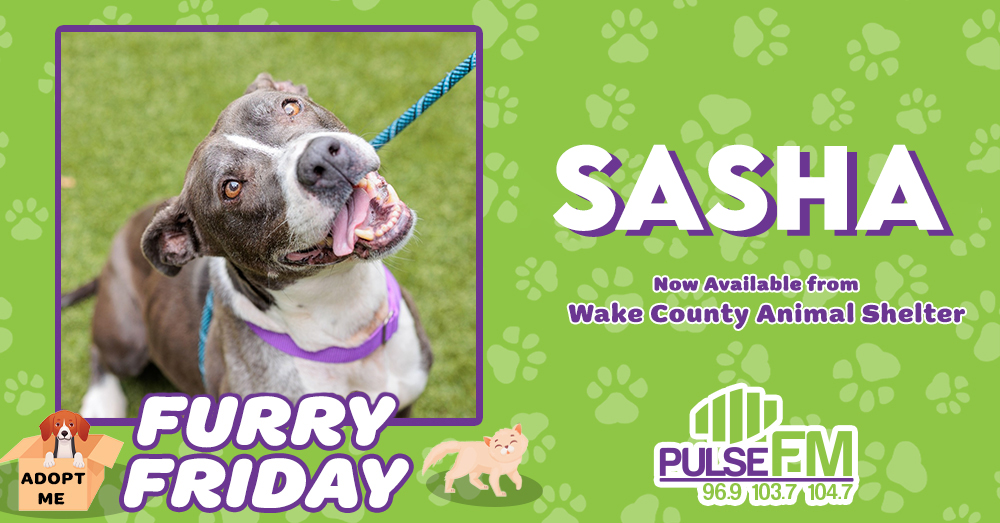Furry Friday: Meet Sasha!