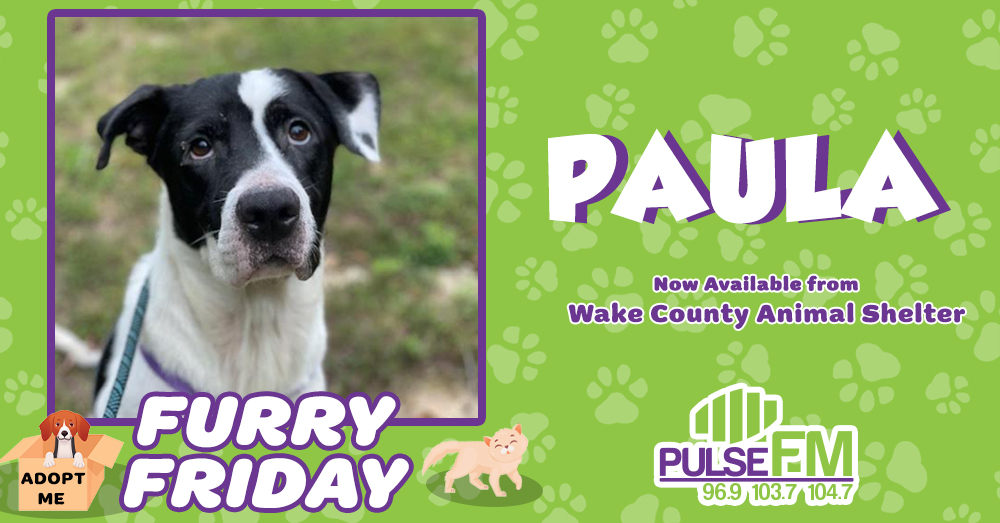 Furry Friday: Meet Paula!