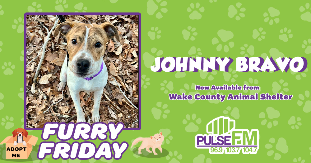 Furry Friday Meet Johnny Bravo