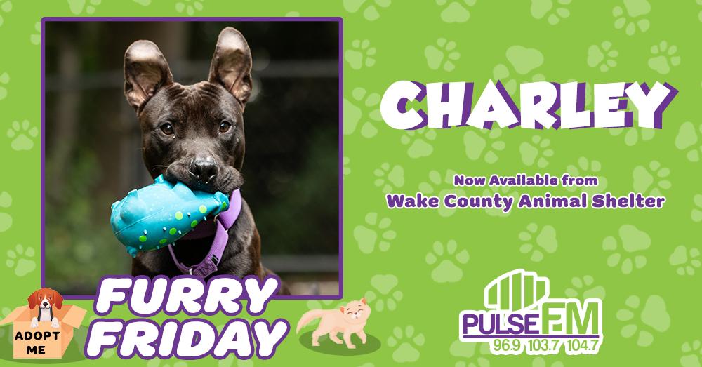 Furry Friday: Meet Charley!