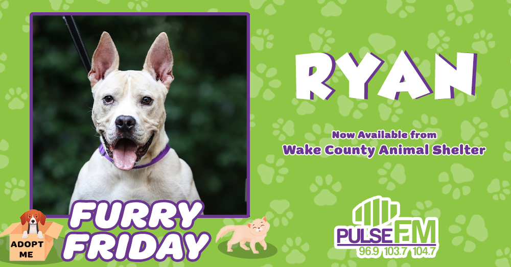 Furry Friday: Meet Ryan!