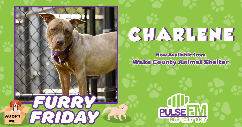 Furry Friday: Meet Charlene!