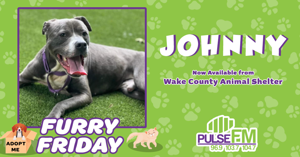 Furry Friday: Meet Johnny!