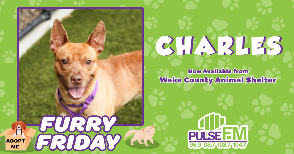 Furry Friday: Meet Charles!