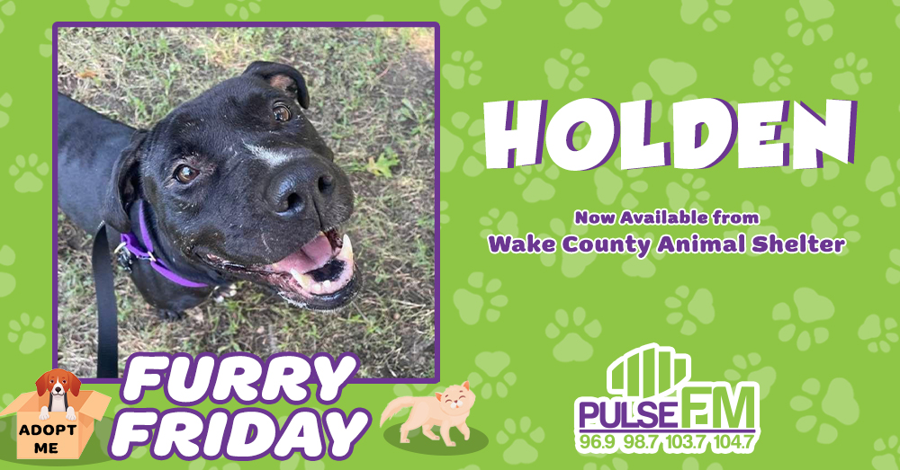 Furry Friday: Meet Holden!