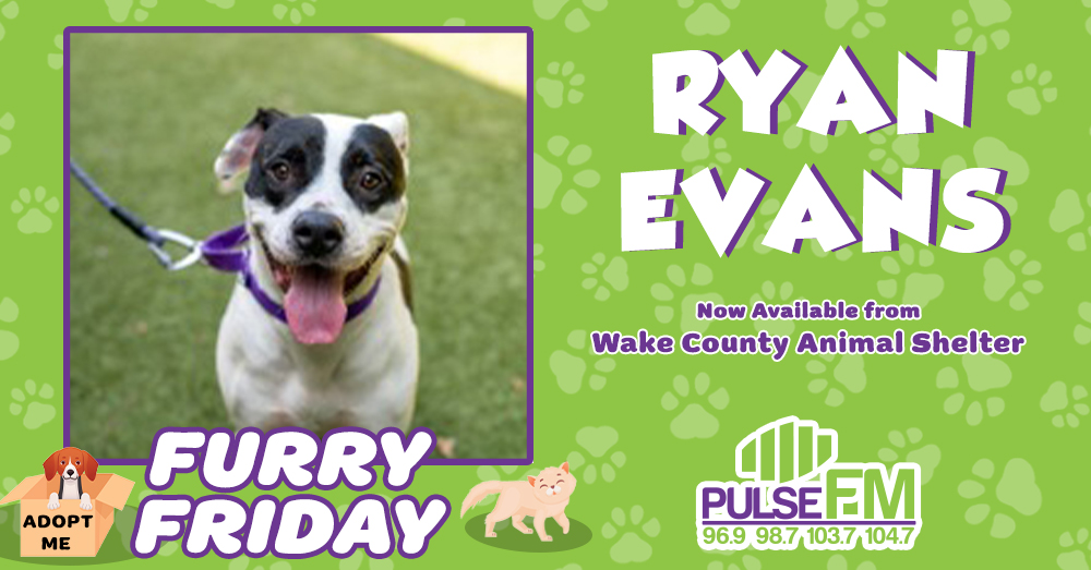 Furry Friday: Meet Ryan Evans!