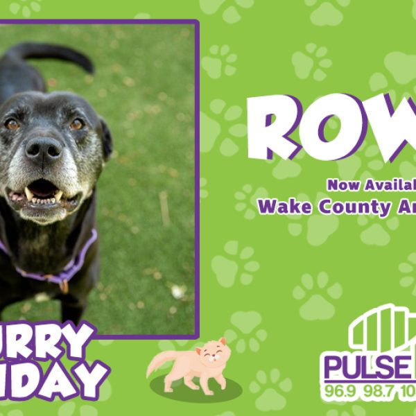 Furry Friday: Meet Rowdy!