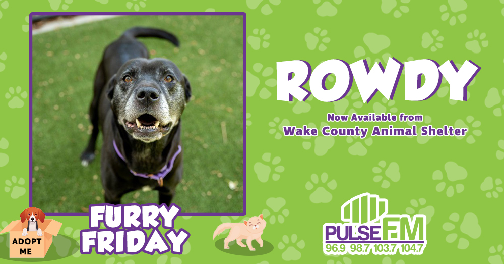 Furry Friday: Meet Rowdy!