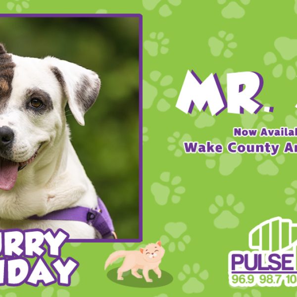 Furry Friday: Meet Mr. 305!
