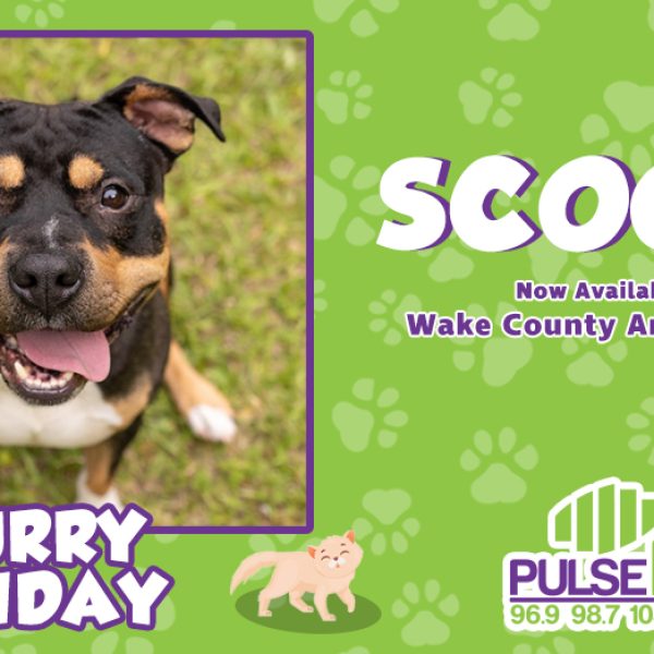 Furry Friday: Meet Scooby!