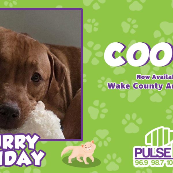 Furry Friday: Meet Cooper!
